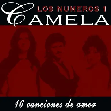 Portada de 16 canciones de amor