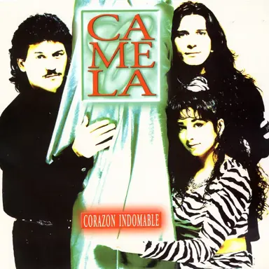 Portada de Corazón indomable