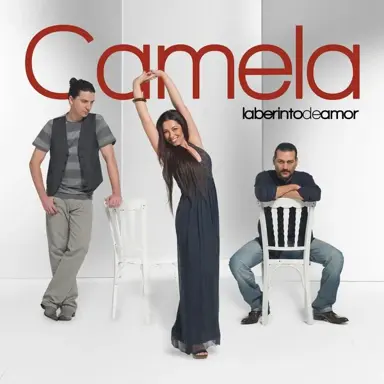 Portada de Laberinto de amor